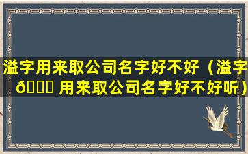 溢字用来取公司名字好不好（溢字 🐞 用来取公司名字好不好听）